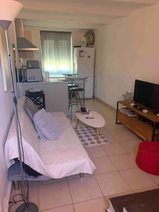 Fabienne Cote Jardins De La Fontaine Apartamento Nîmes Exterior foto